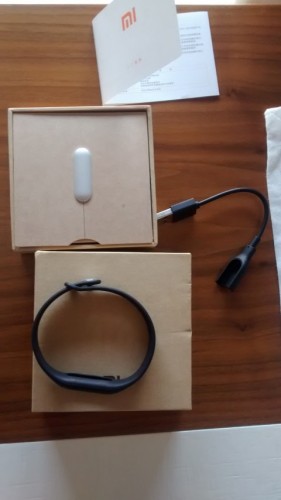 Componentes de la Xiaomi Mi Band